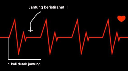 Fakta bahwa jantung kita beristirahat selama beberapa saat setelah berdenyut