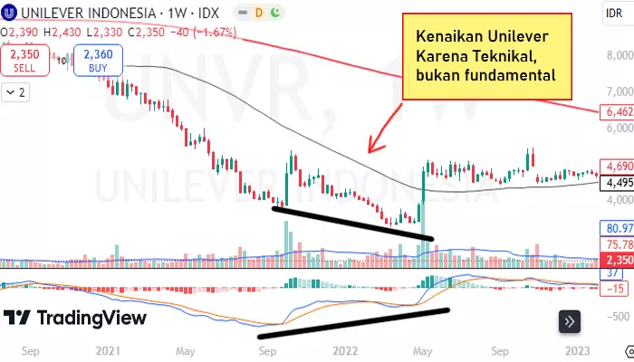 Penyebab naiknya saham unilever