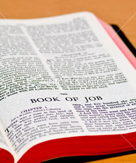 Ayub tidak berdosa dihadapan Tuhan. Namun dia menderita