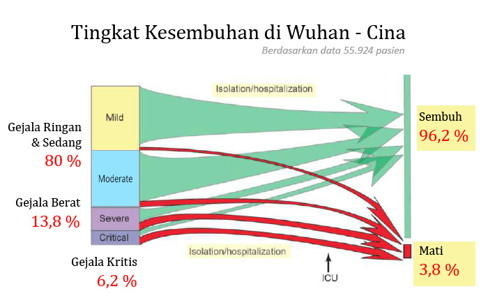 Data persentase kesembuhan dan kematian karena Corona